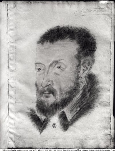 NA fol.5 Joachim du Bellay (1522-60) da French School